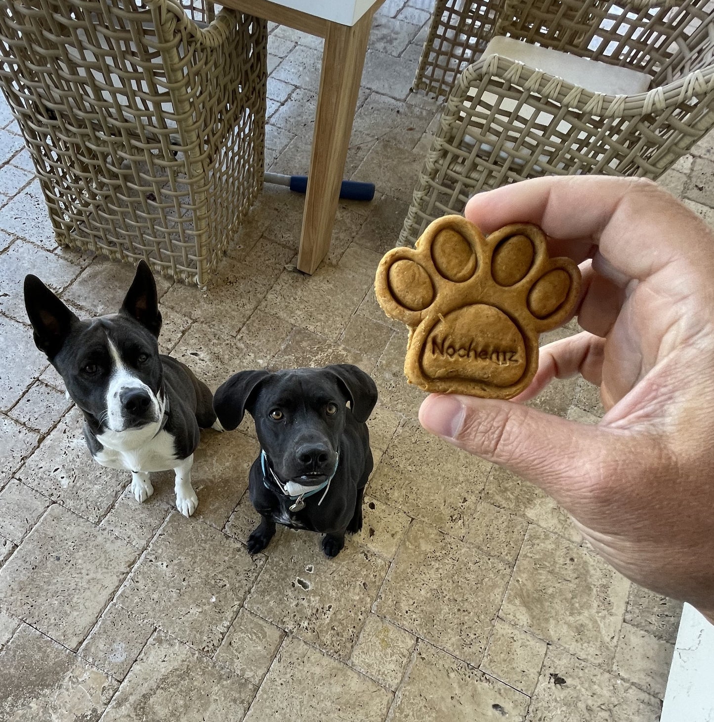 Nochemz Premium Dog Treats for Large Pups