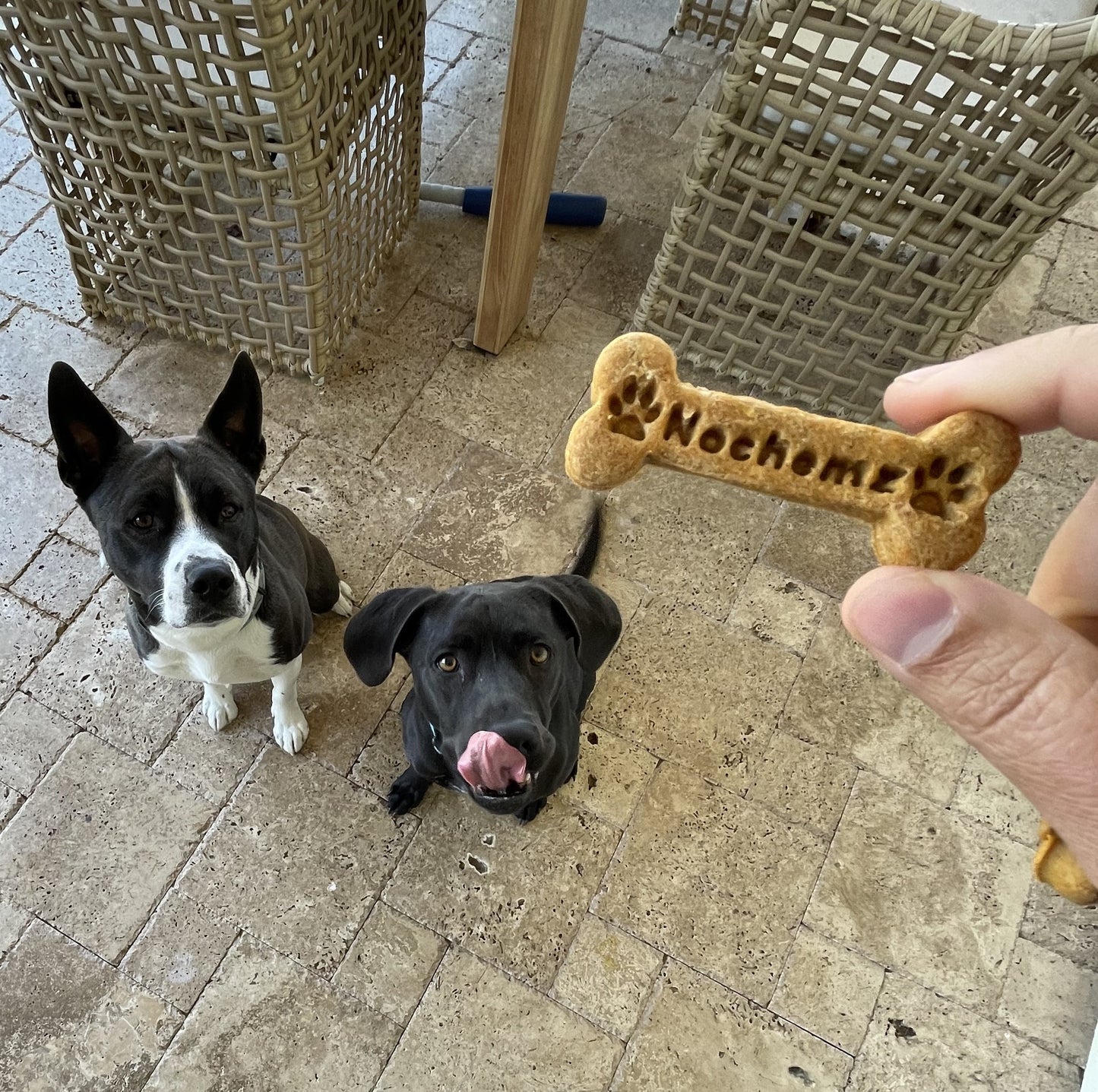 Nochemz Premium Dog Treats For Small Pups